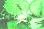 Chương 2a | Chapter 2a