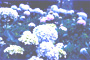 Chương 3 | Chapter 3